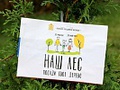 17 сентября в Подмосковье пройдет акция "Наш лес. Посади свое дерево."