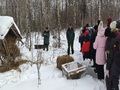 Подкормка животных в зимнем лесу