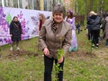 Общественники приняли участие в посадке "Сиреневого сада"