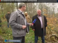На Солнечногорском кладбище разорены десятки могил.