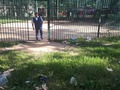 Работа общественников по обращениям граждан