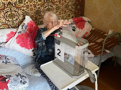 голосование на дому