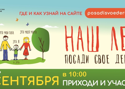 Акция "Наш лес.Посади свое дерево" пройдет в Солнечногорском районе 16 сентября