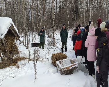 Подкормка животных в зимнем лесу