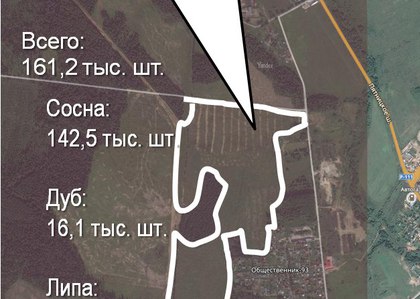 Лесопосадка в Солнечногорске станет центральной площадкой проведения акции "Лес Победы" в Подмосковье