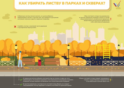 Рекомендации по регулированию уборки листового опада в Москоской области