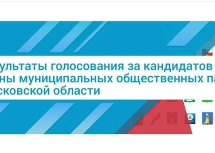 Опубликованы результаты голосования за кандидатов в члены Общественной палаты
